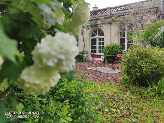 La Parenthèse Entre Abbaye Et Venise Verte * Maillezais